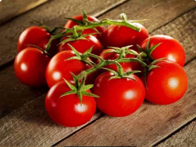 قیمت گوجه فرنگی درشت با کیفیت ارزان + خرید عمده
